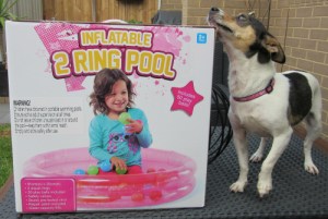 Co was very eager to see what was inside!