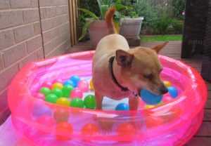 Tiffany in the ball pit