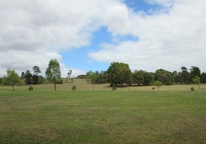 Boeing Reserve dog park