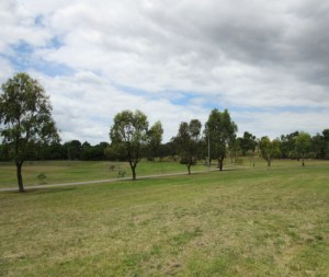Boeing Reserve dog park (northern end)