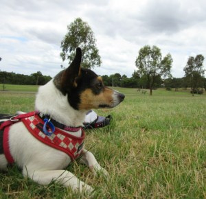 Co at Boeing Reserve