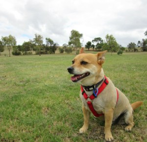 Tiffany at Boeing Reserve
