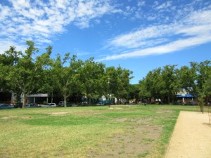 Clayton Reserve Dog Park