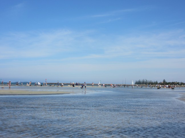 Altona Dog Beach