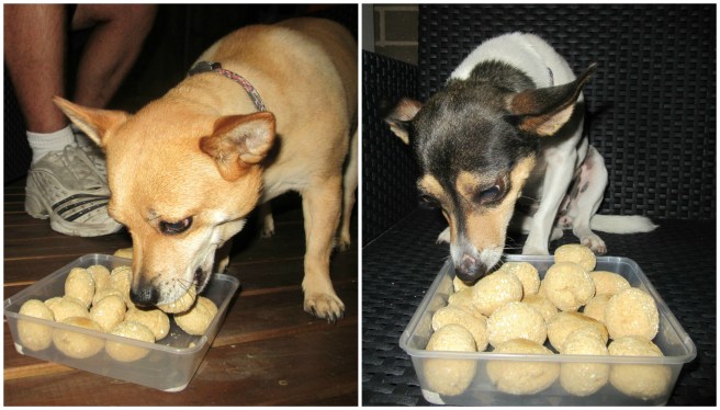 official taste testing