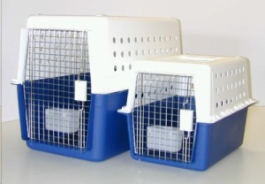 crate training your dog - plastic crate